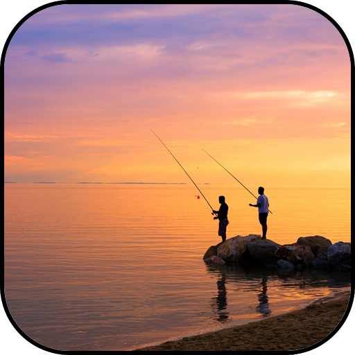 Fishing wallpapers