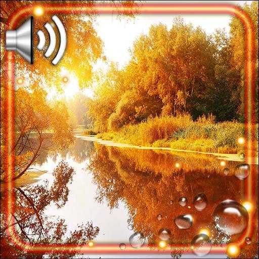 Autumn River HD