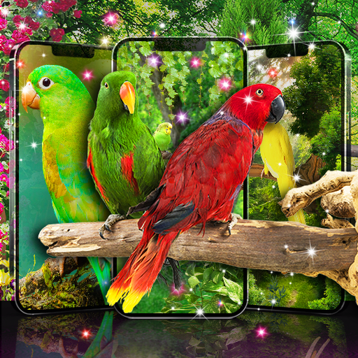 Live wallpapers birds