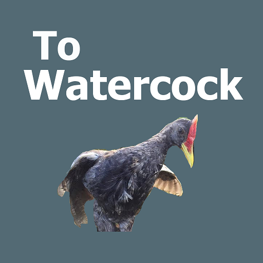 Watercock Sound