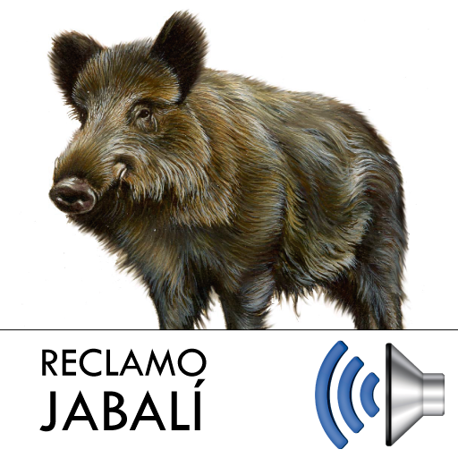 Reclamo Jabalí