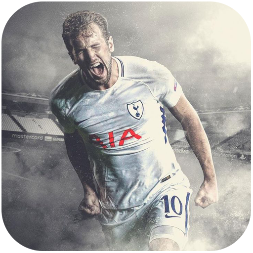 Wallpapers Harry Kane