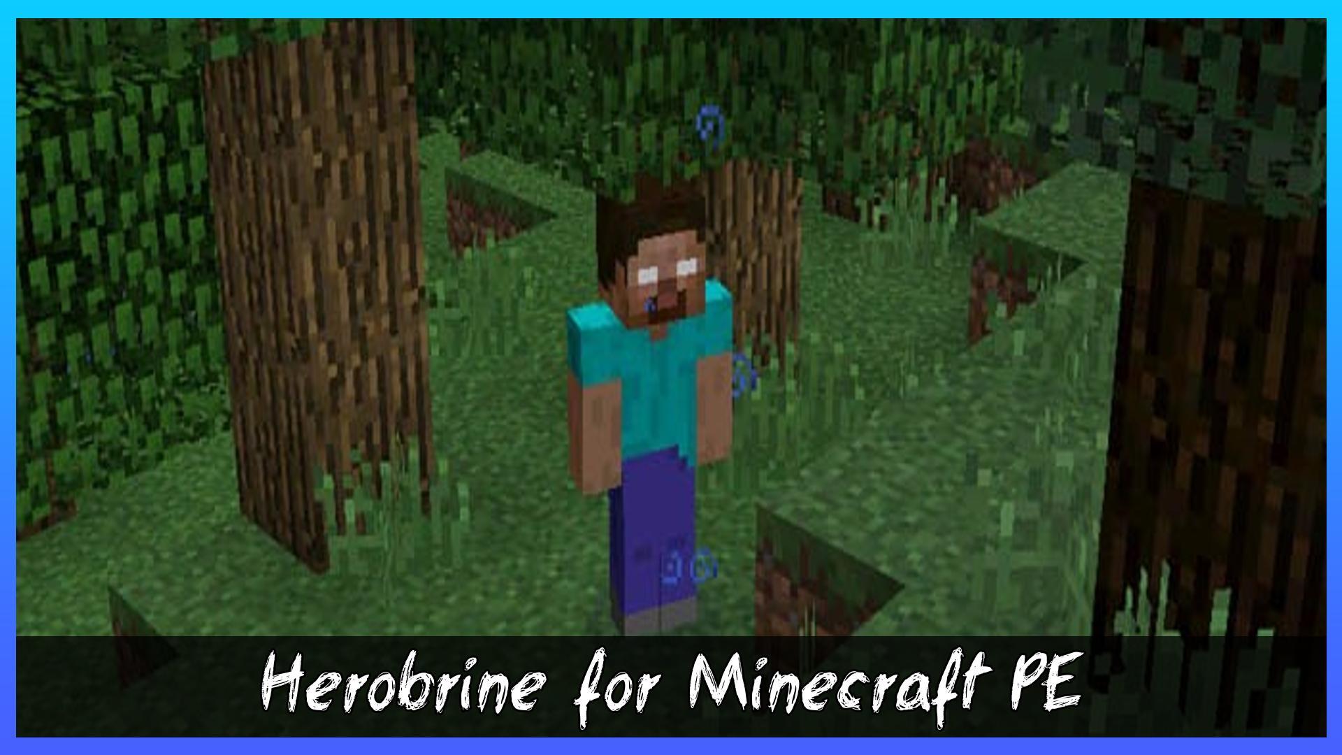 Download Herobrine Mod for Minecraft PE android on PC