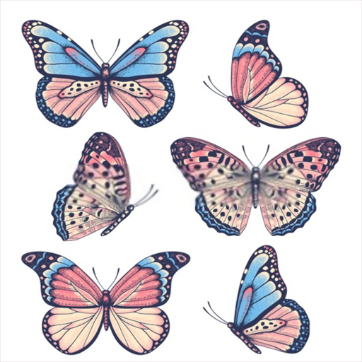 How To Draw Butterfly