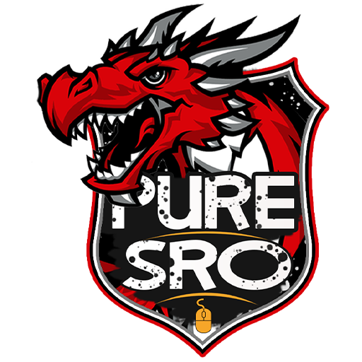 PureSRO - Private SRO Server