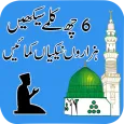 Six 6 Kalmy Islamic App