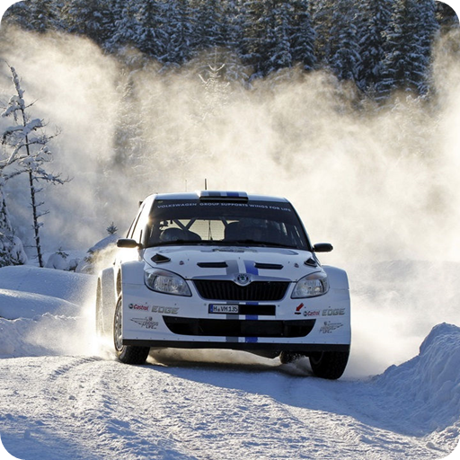 Snow Rally Cars Wallpaper
