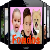 Kima Juanito jukito fondos