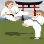 Fighting Kuro Obi Karate