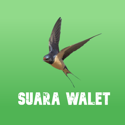 Kumpulan Suara Walet