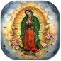 46 RosariosVirgen de Guadalupe
