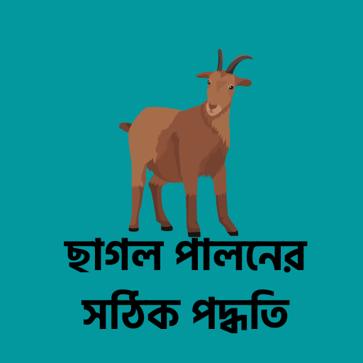 ছাগল পালনের সঠিক পদ্ধতি