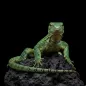 Lizard Sounds