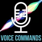 Voice Commands for Voice Assistant