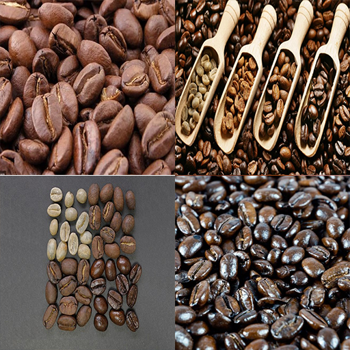 Learn Roasting Coffee