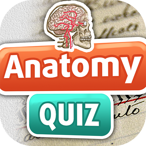 Anatomia Quiz