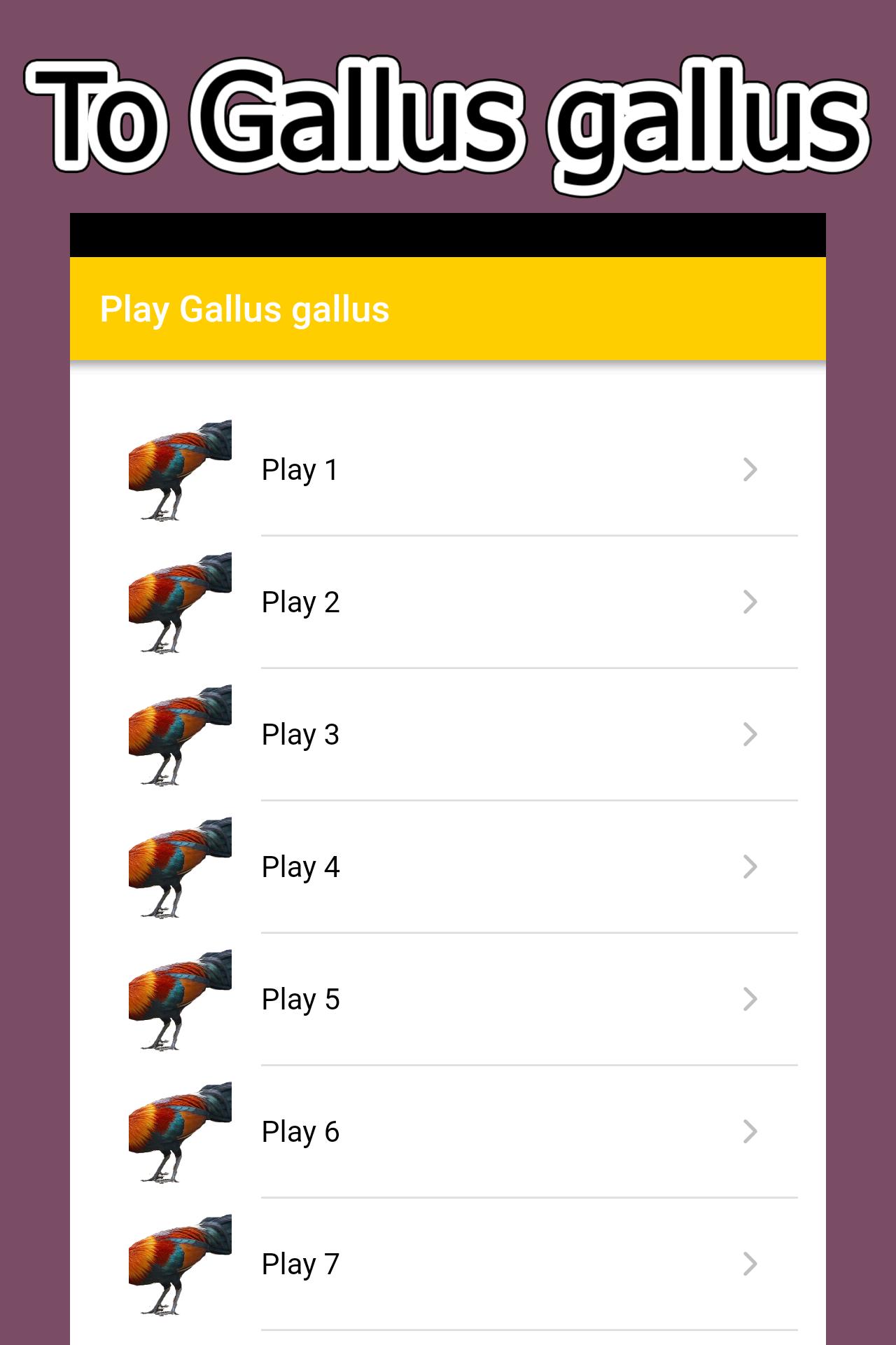gallery