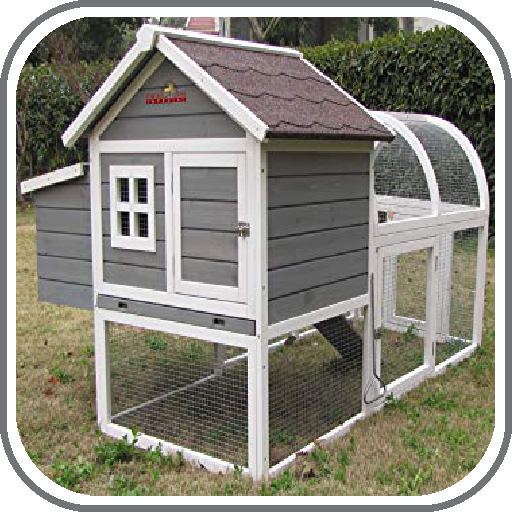 Design Chicken House Ideas