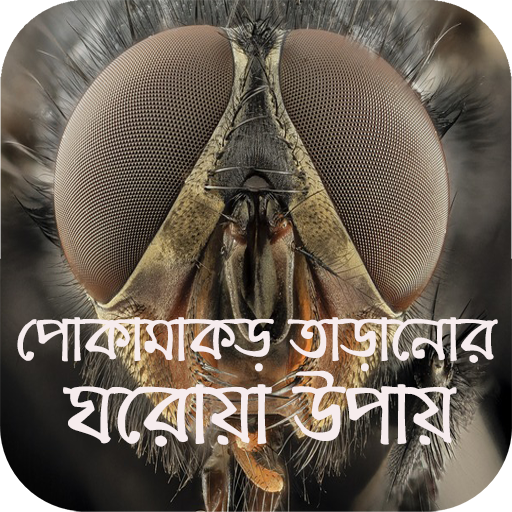 পোকামাকড় তাড়ানোর ঘরোয়া উপায়