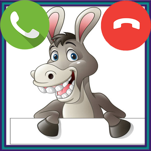 Donkey Fake Video Call & Chat