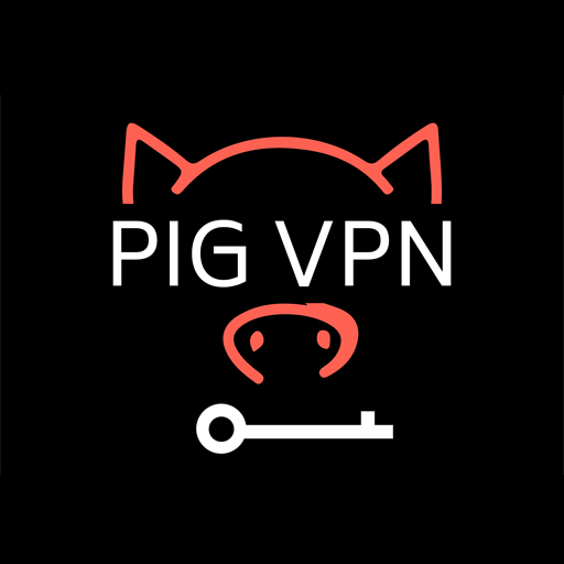 Pig VPN