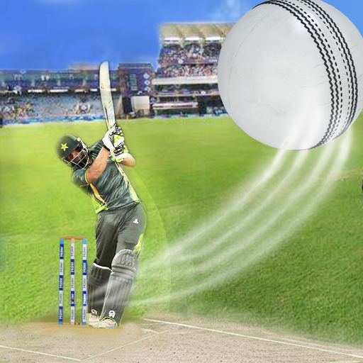 PSL Slider Puzzle Cricket game