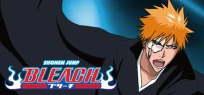 Bleach: Bleach 253