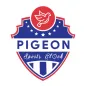 Pigeon Sports Clock