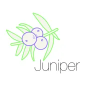 Juniper