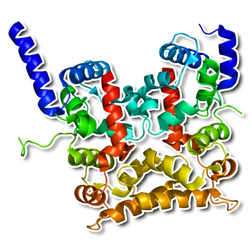 Human proteins