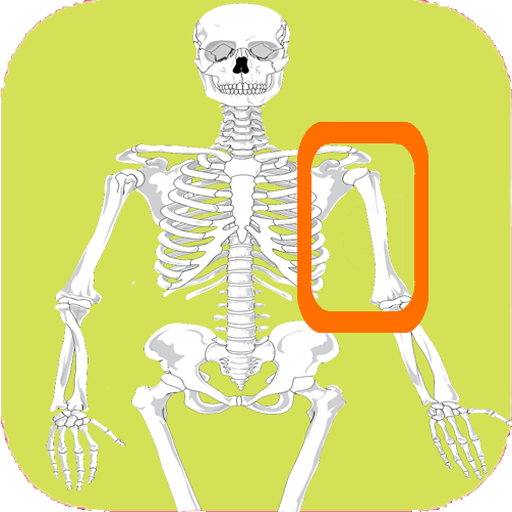 Skeleton bones, guess what is