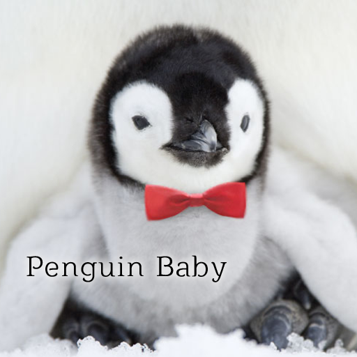 ペンギンの赤ちゃん壁紙