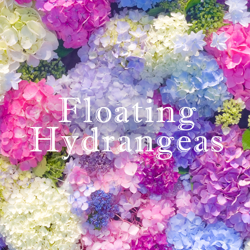 Floating Hydrangeas +HOME