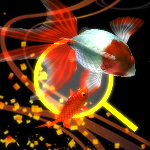 Goldfish Dream