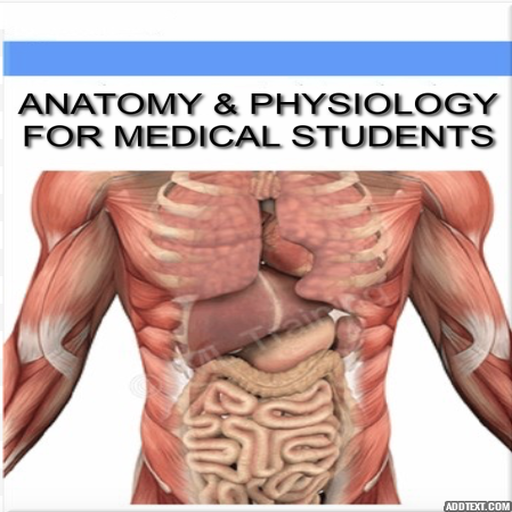 Anatomy and Physiology