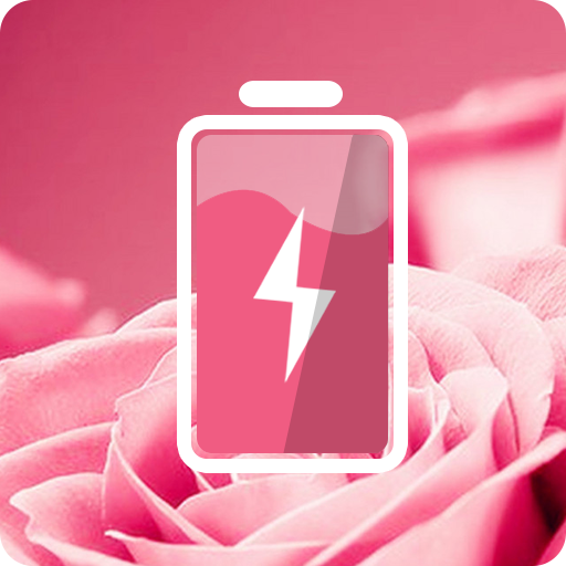 Pink Rose Theme For Cleaner
