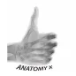 Anatomy and Radiographic Proje