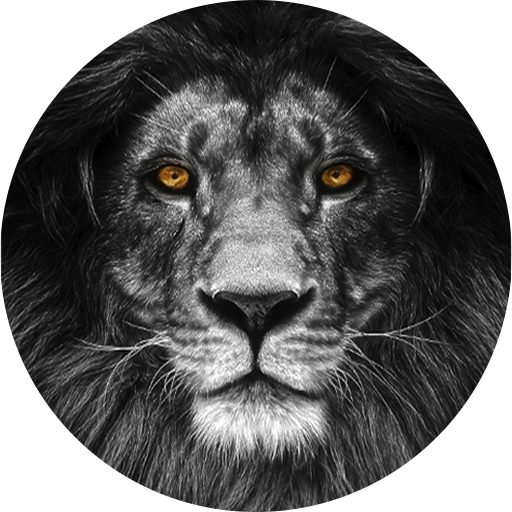 Black Lion Super VPN