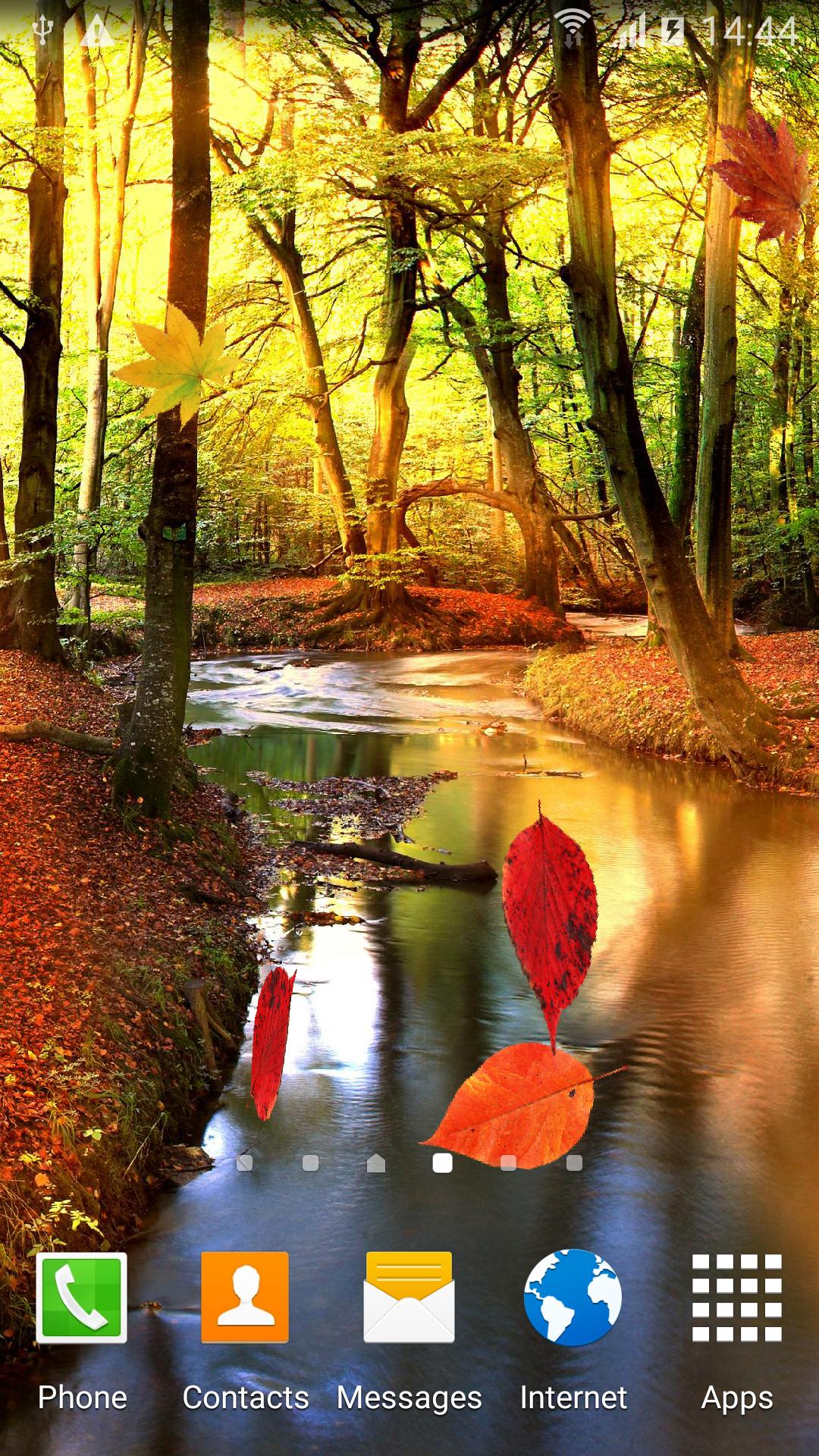 Download Autumn Forest Live Wallpaper android on PC