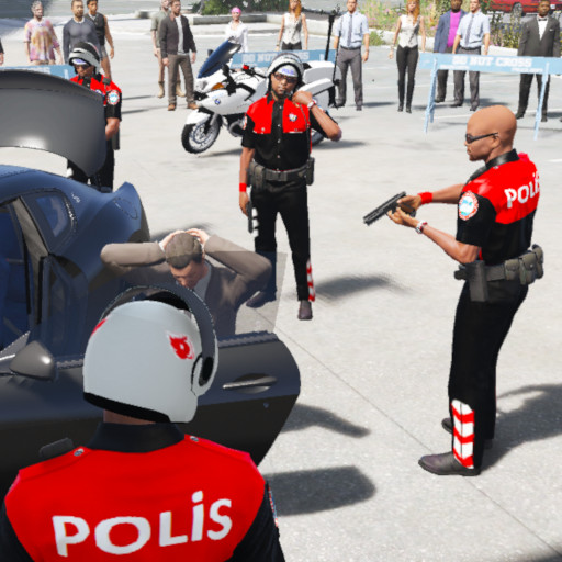 Büyük Türk Polis Operasyonları
