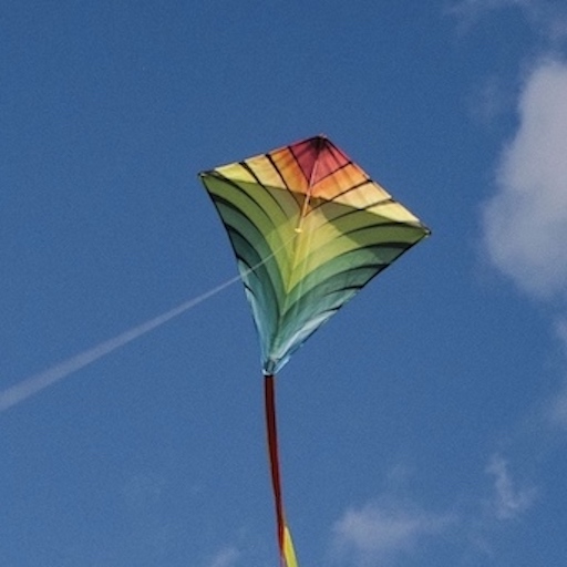 Kite Flying 2025 (Kite Game)