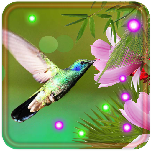 Colibri Flowers live wallpaper