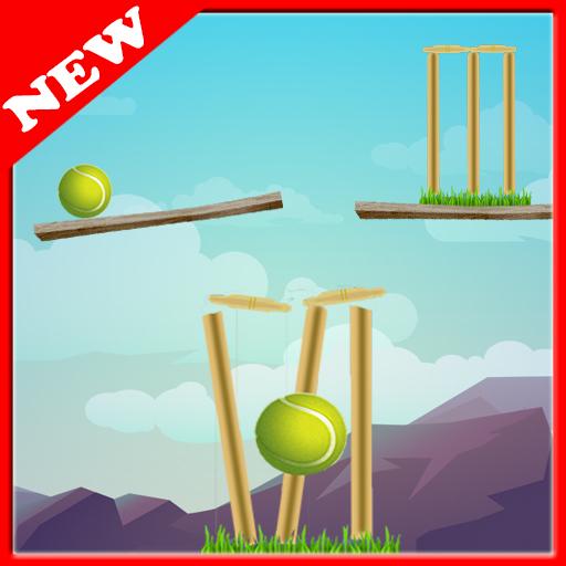 Cricket Ball : New Cricket Gam