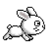 Little Bunny