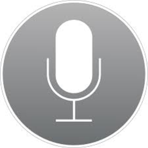 Voice Search For Google