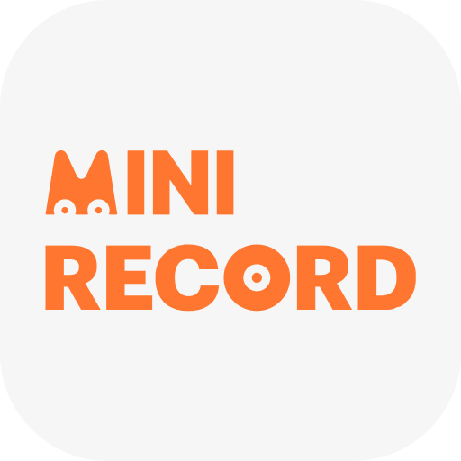 MINI RECORD