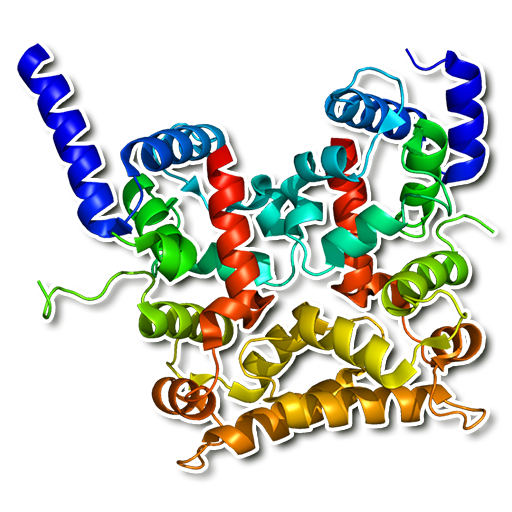 Human proteins