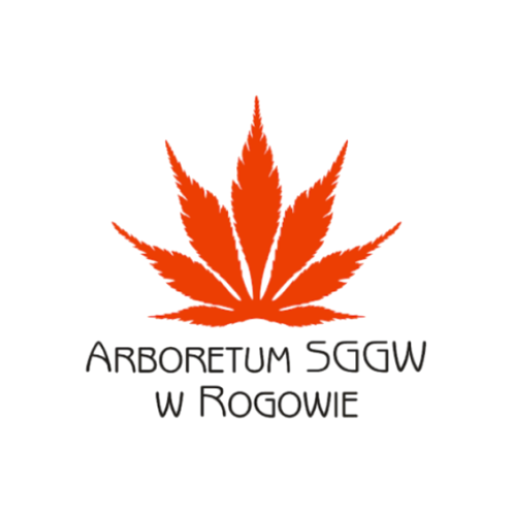 Arboretum w Rogowie