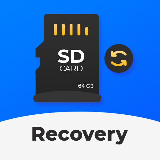 SD Card Data Recovery