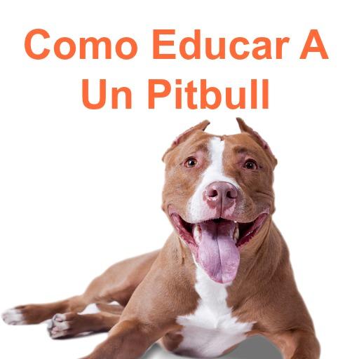 Como educar a un perro pitbull